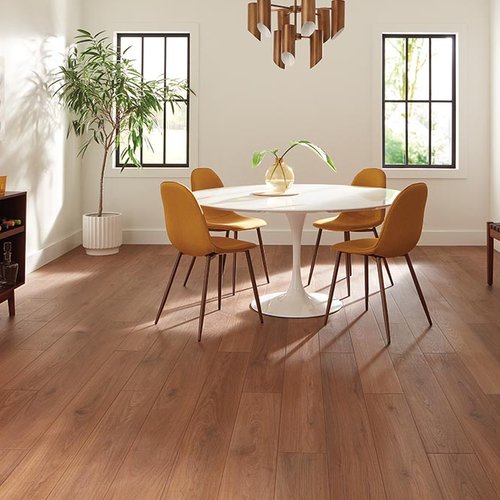 Dining Room Luxury Vinyl Plank LVP -  Decorating Ideas in Powell, NY