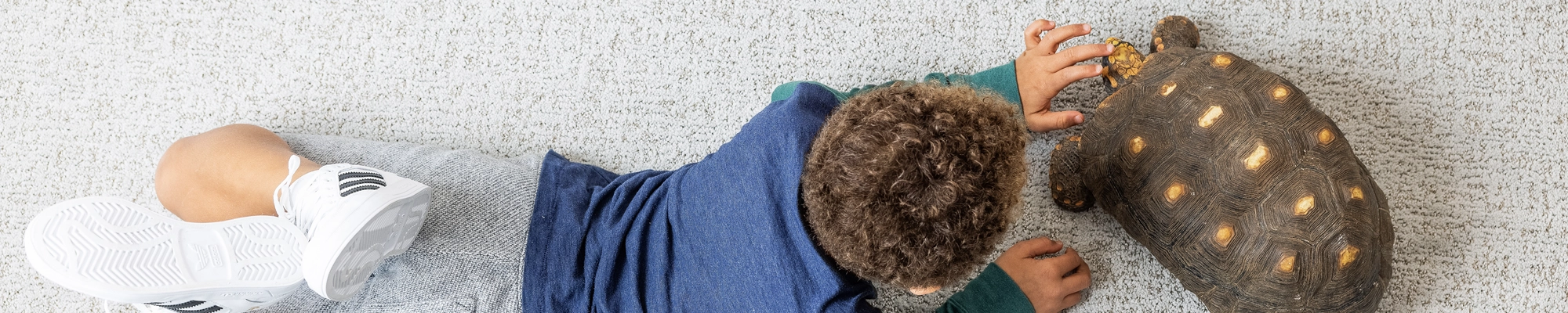 What Decorating Ideas the BEST Choice for Flooring? Decorating Ideas flooring associates will help you select the perfect flooring for your particular application.